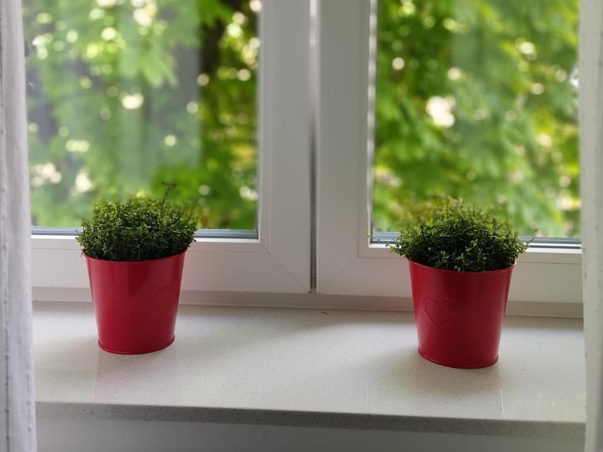Petit Coco Apartment Загреб Екстериор снимка
