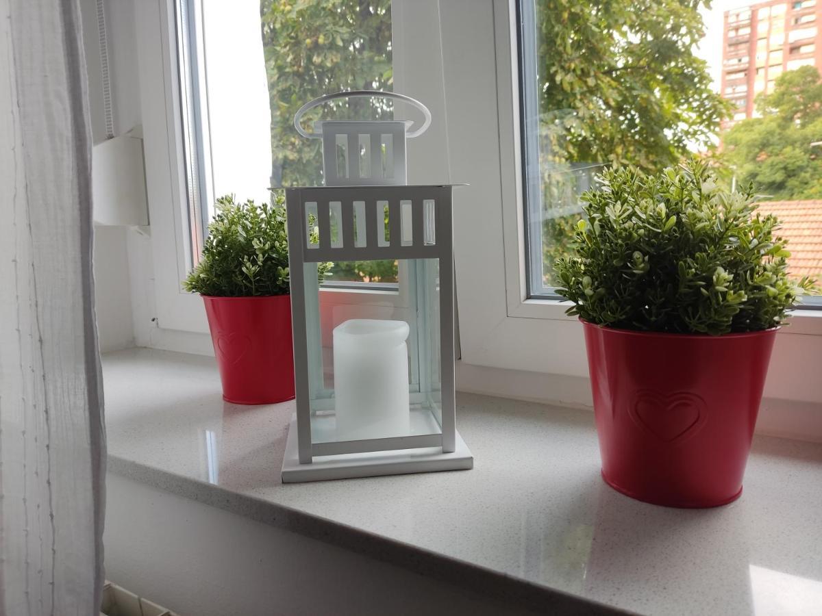 Petit Coco Apartment Загреб Екстериор снимка